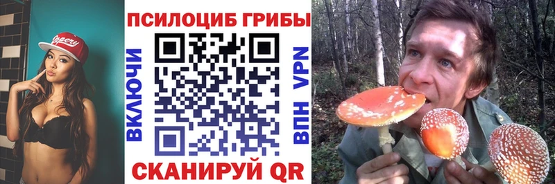 где купить наркоту Пущино Псилоцибиновые грибы мицелий